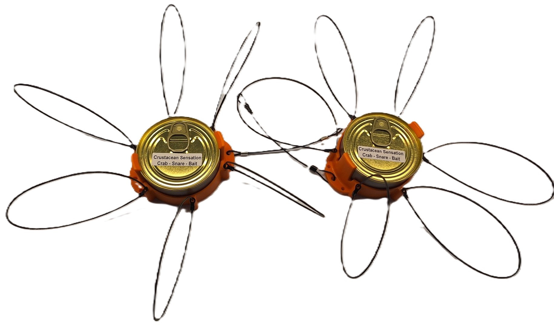 The Ultimate Guide To Crabbing In The UK - Rhubarb And Wren - Foto 3